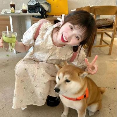 周游记第二季