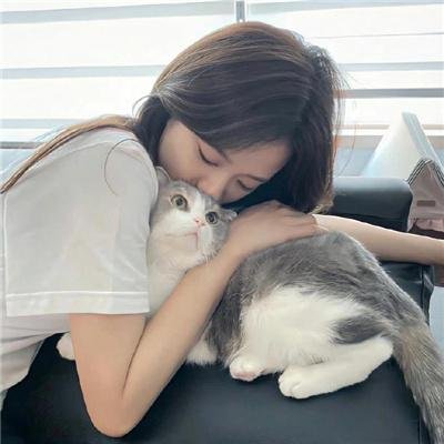 懵兄戆弟
